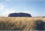 Outback.jpg (92961 bytes)